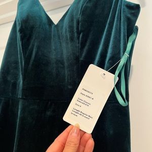 Revelry Dakota Velvet Dress